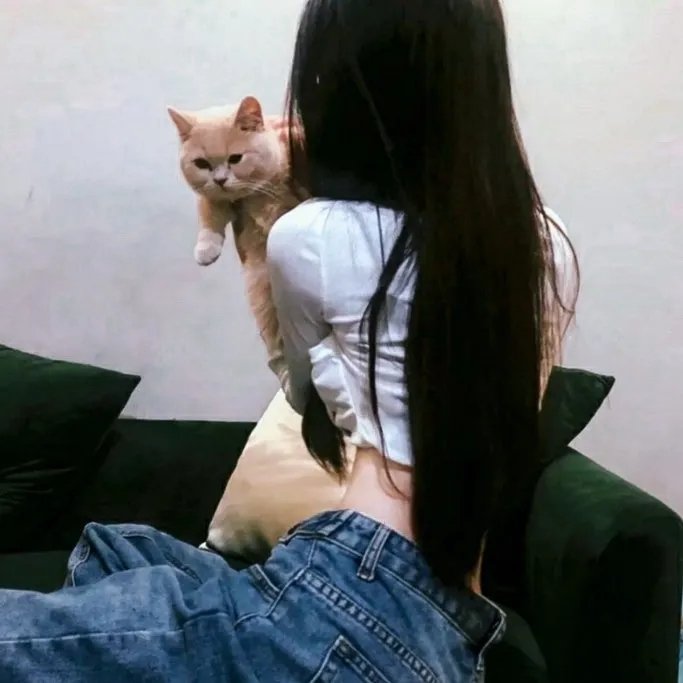 我的如意狼君国语